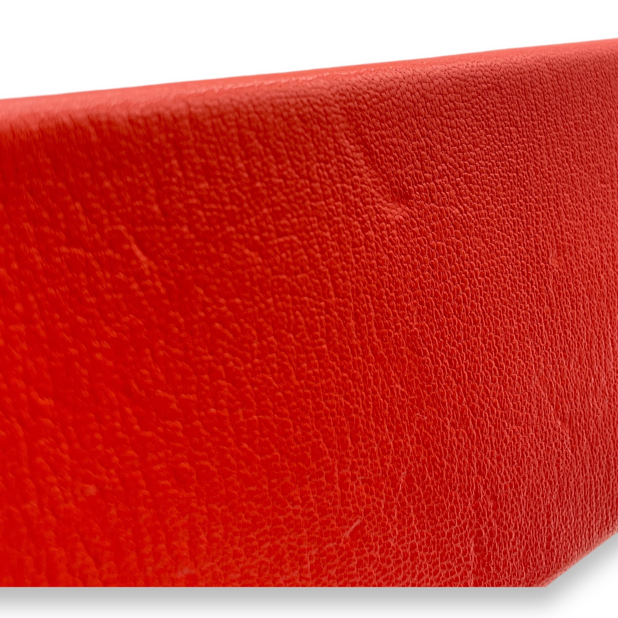 Cinhetic Capucine in Chevre Leather, Palladium hardware - Image 7