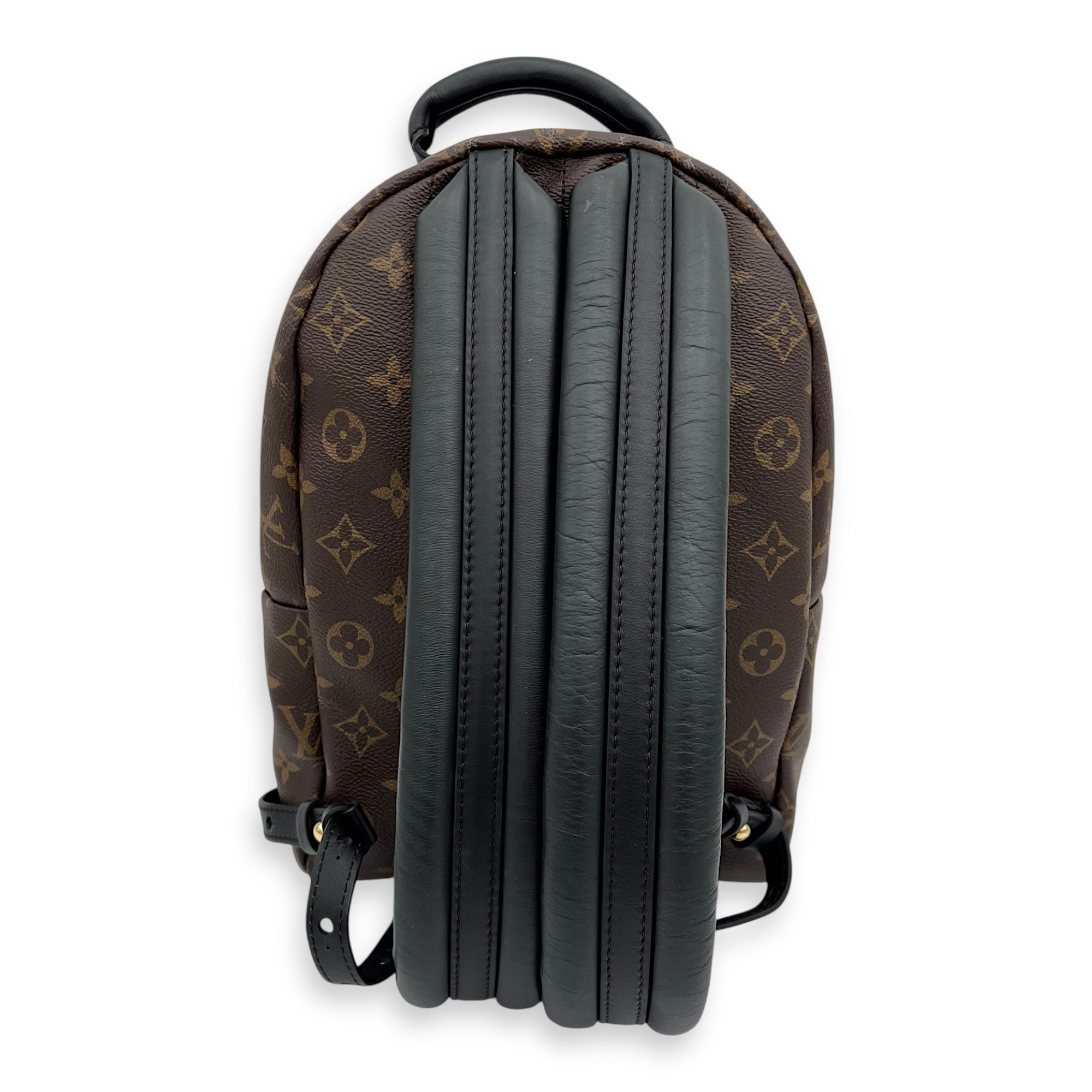 Palm Springs PM Brown Backpack in Monogram Coated Canvas, Gold hardware - Image 5