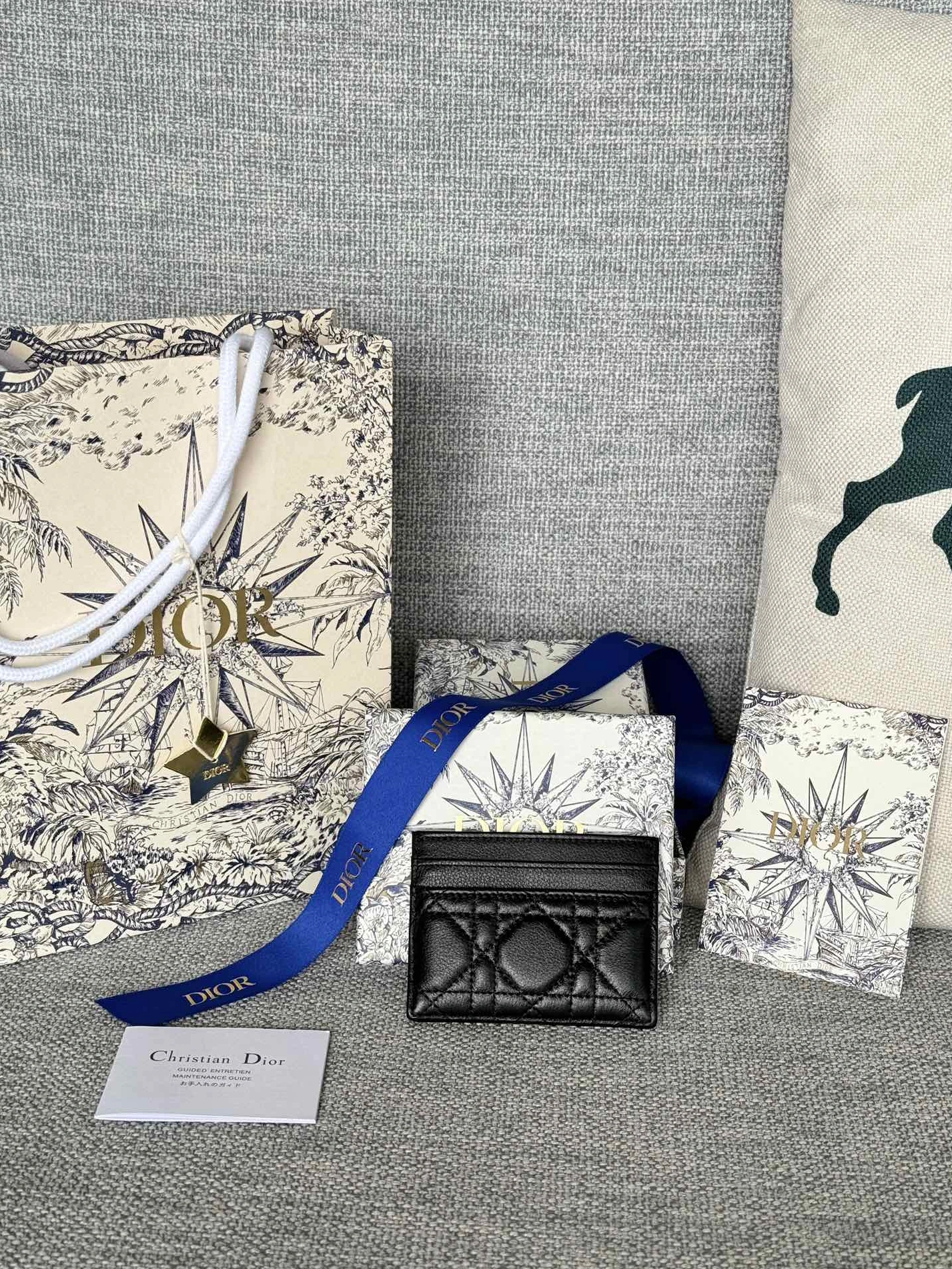 Bold 3353 Christian Dior Card Case